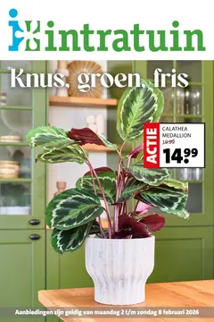 Intratuin folder voorblad