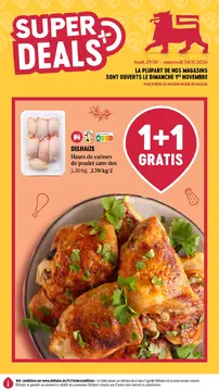 Delhaize couverture de brochure