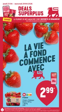 Delhaize couverture de brochure