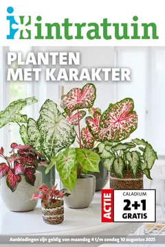 Intratuin folder voorblad