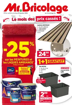 Mr.Bricolage couverture de brochure