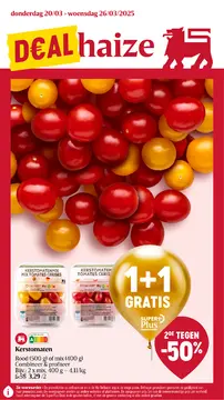 Delhaize folder voorblad