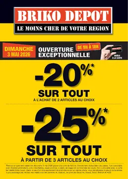 Briko Depot couverture de brochure