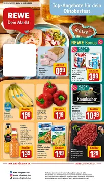 REWE DE folder voorblad