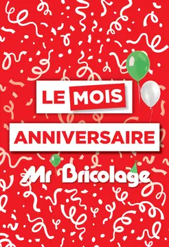 Mr.Bricolage couverture de brochure