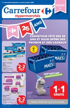 Carrefour couverture de brochure
