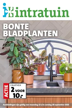 Intratuin folder voorblad
