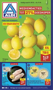 ALDI folder voorblad