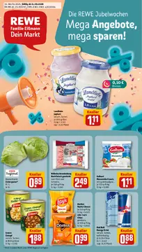 REWE DE folder voorblad