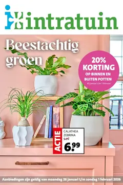 Intratuin folder voorblad