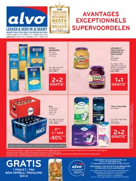 Alvo couverture de brochure