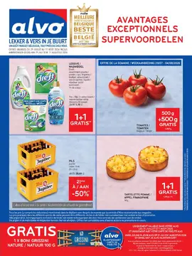 Alvo couverture de brochure
