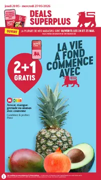 Delhaize couverture de brochure