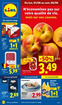 Lidl couverture de brochure