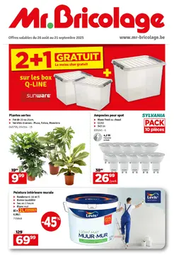Mr.Bricolage couverture de brochure