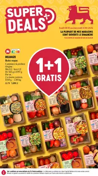 Delhaize couverture de brochure
