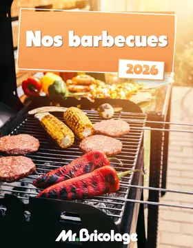 Mr.Bricolage couverture de brochure