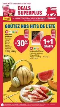 Delhaize couverture de brochure