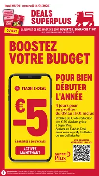 Delhaize couverture de brochure