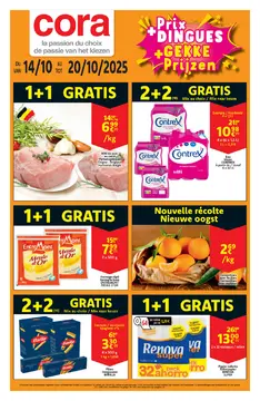 Cora couverture de brochure