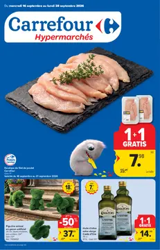 Carrefour couverture de brochure
