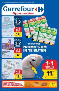 Carrefour folder voorblad