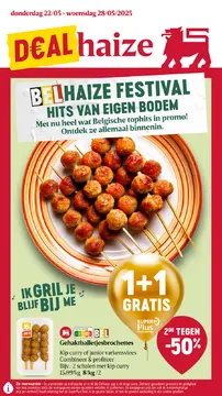 Delhaize folder voorblad