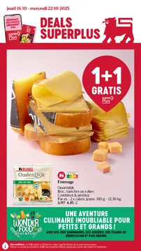 Delhaize couverture de brochure