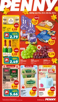 Penny DE folder voorblad