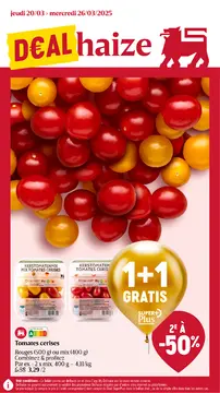 Delhaize couverture de brochure