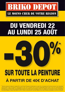 Briko Depot couverture de brochure