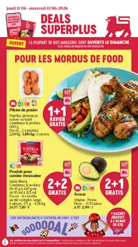 Delhaize couverture de brochure