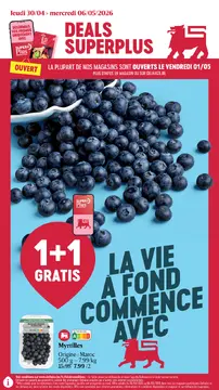 Delhaize couverture de brochure