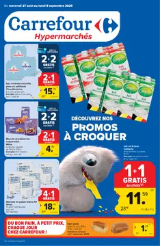 Carrefour couverture de brochure
