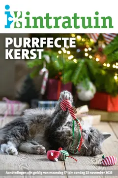 Intratuin folder voorblad