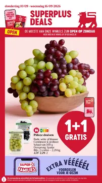 Delhaize folder voorblad