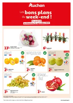 Auchan folder voorblad