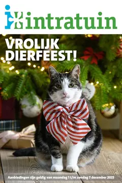 Intratuin folder voorblad