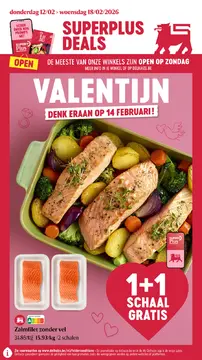 Delhaize folder voorblad