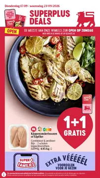 Delhaize folder voorblad