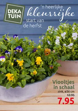 Deka Tuin folder voorblad