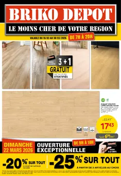 Briko Depot couverture de brochure