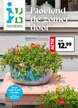 Intratuin folder voorblad