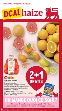 Delhaize couverture de brochure