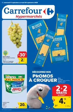 Carrefour couverture de brochure