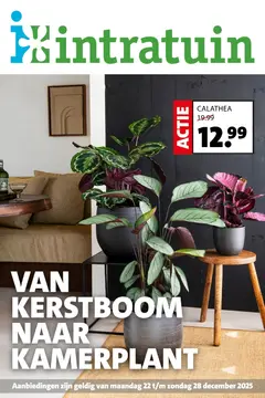 Intratuin folder voorblad