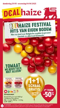 Delhaize folder voorblad