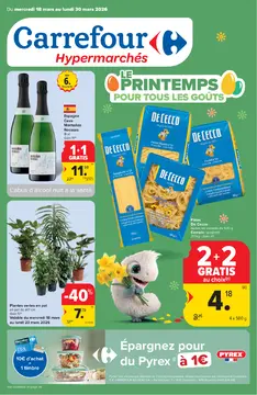 Carrefour couverture de brochure