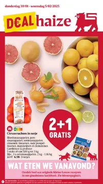 Delhaize folder voorblad