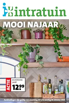 Intratuin folder voorblad